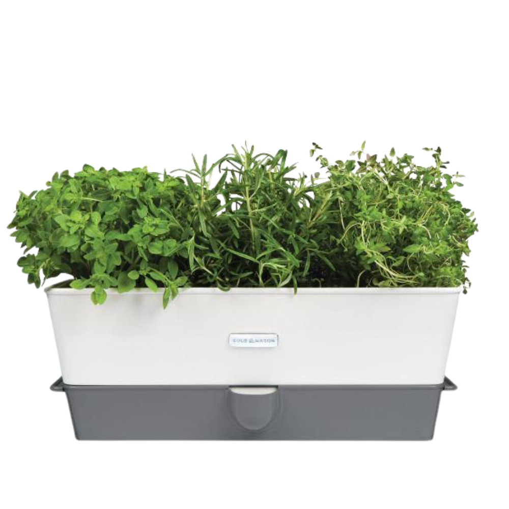 Jardinière pour fines herbes avec réservoir 3-Pcs de Cole et Mason